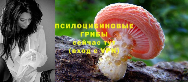 a pvp Аркадак